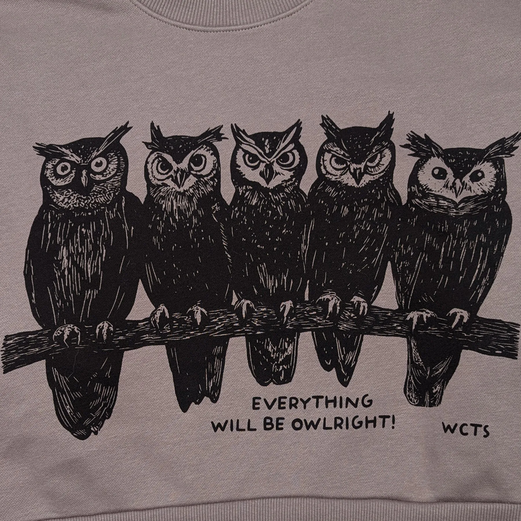 Women's Everything Will Be Owlright Cropped Fleece Crewneck Sweater